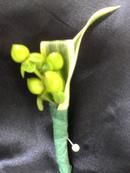 Lime Colored Berries